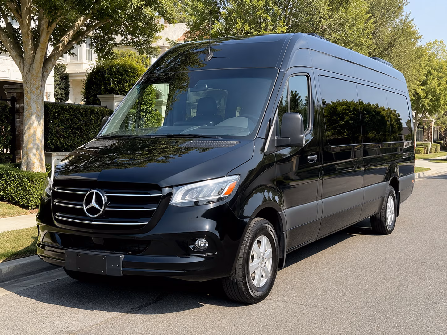 lynn sprinter van with driver